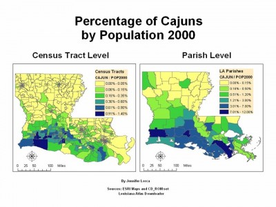 图4, 在人口普查居民点级和Parish 县级，路易斯安娜州南部的ࡖ